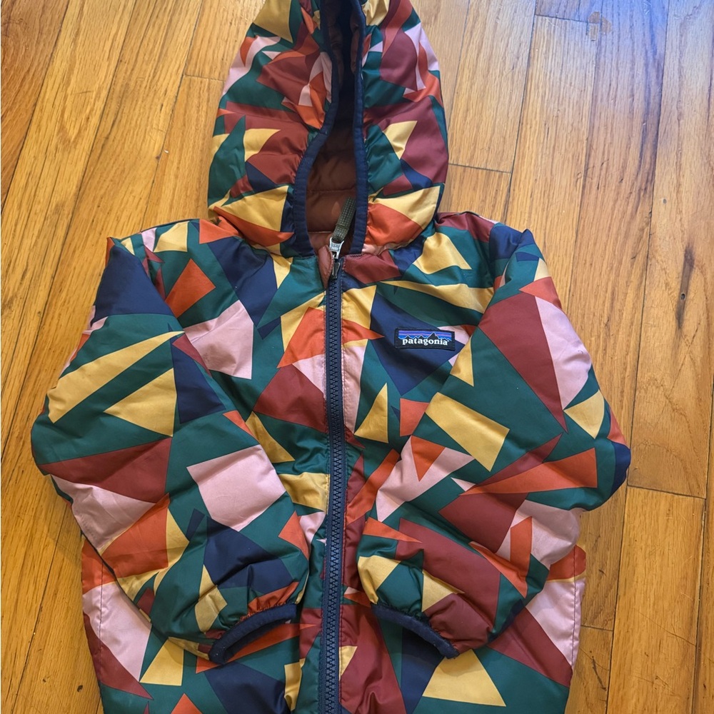 Patagonia Multicolor Geometric Hooded Jacket